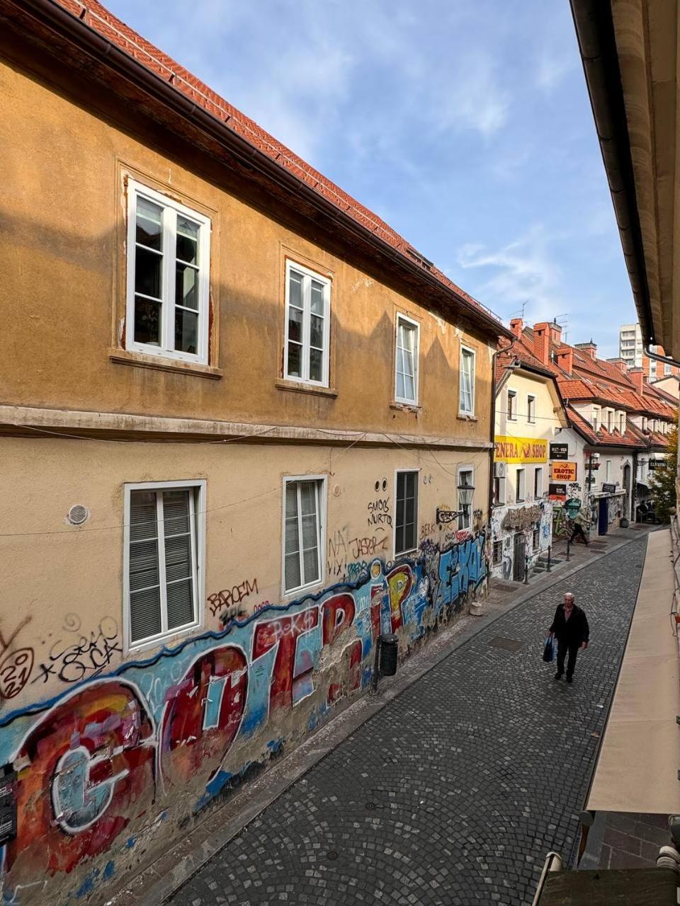 Apartmán Staro Mesto & Dragon Bridge Lublaň
