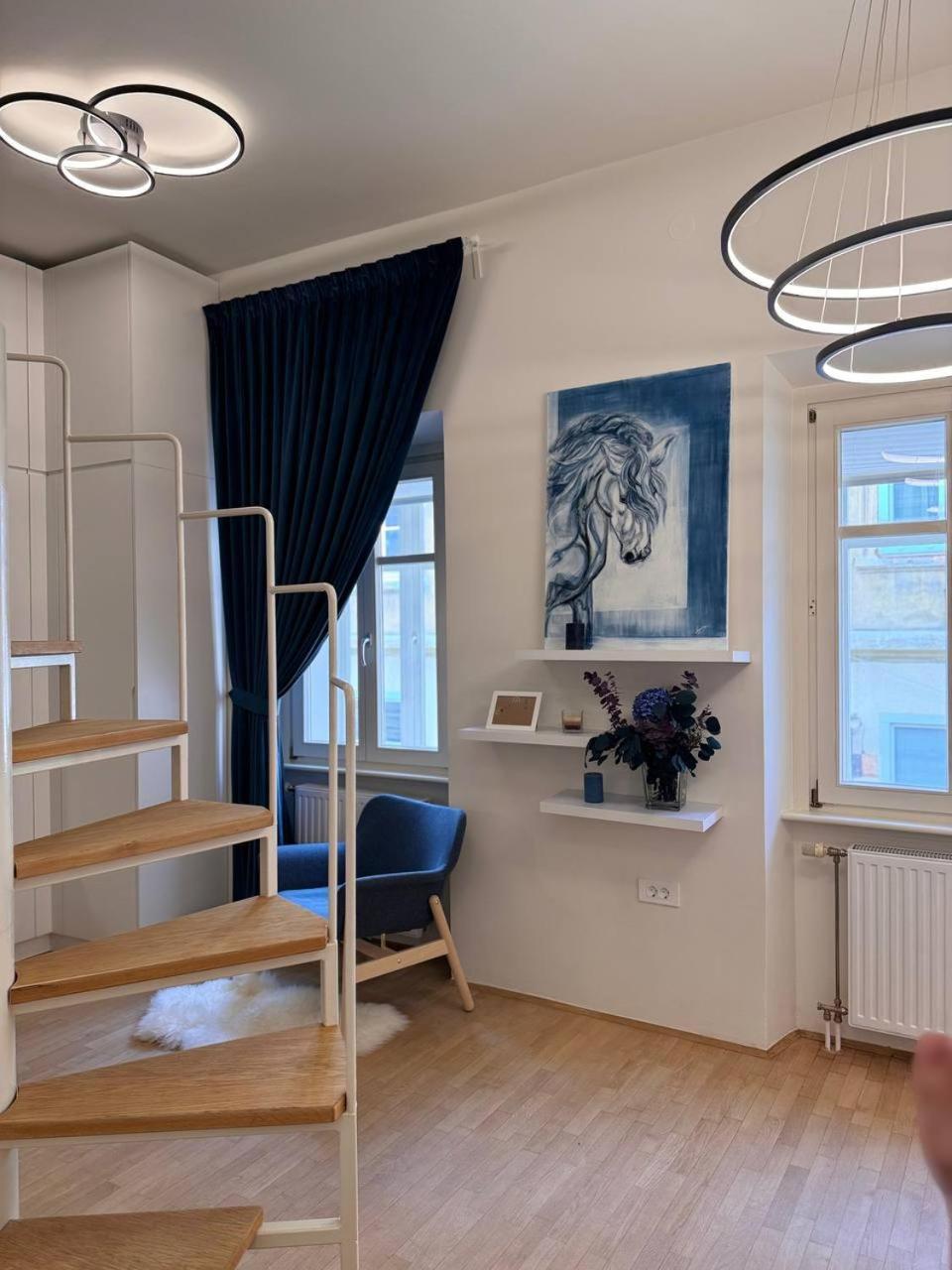 Apartment Staro Mesto & Dragon Bridge